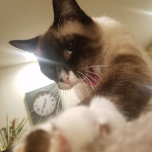 Meet your Posher, Faith